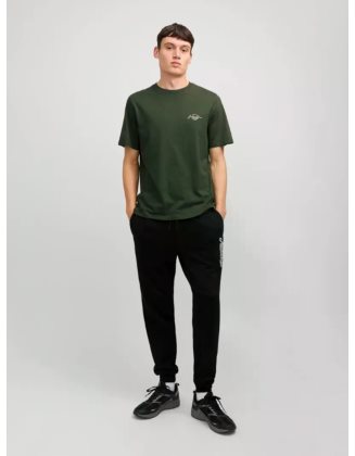 JJFERRIS TEE SS CREW NECK