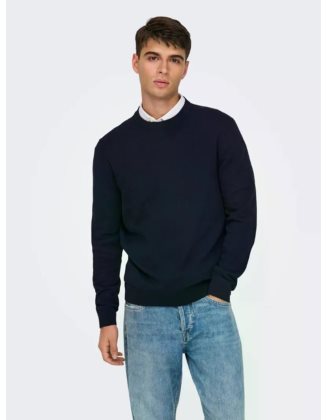 ONSREX LIFE REG 12 CREW KNIT