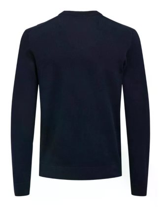 ONSREX LIFE REG 12 CREW KNIT