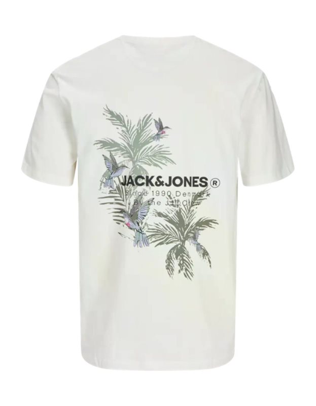 JJHAWAII TEE SS CREW NECK